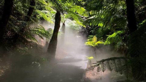 Australian National Botanic Gardens - Restaurant Gold Coast 4