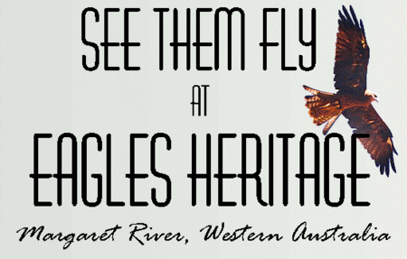 Eagles Heritage Raptor Wildlife Centre - Restaurant Gold Coast