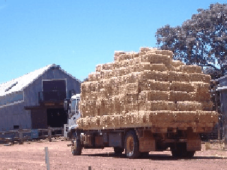 Avondale Discovery Farm - Restaurant Gold Coast 1