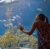 The Aquarium of Western Australia - Restaurant Gold Coast
