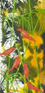 Jahroc Mill Gallery - Restaurant Gold Coast 3