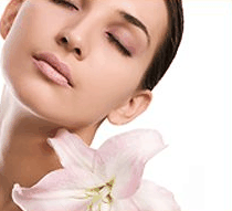 Stephanies Spa Retreat - Restaurant Gold Coast