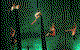 Flipside Circus - thumb 3