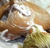 Exotique Massage - Restaurant Gold Coast