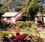 Delvin Health Retreat - Restaurant Gold Coast