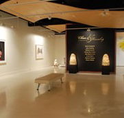 Counihan Gallery In Brunswick - Restaurant Gold Coast