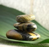 The Nature of Balance - Restaurant Gold Coast