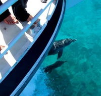 Pelican Charters - Restaurant Gold Coast
