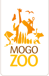 Mogo Zoo - Restaurant Gold Coast