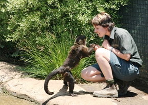 National Zoo & Aquarium - Restaurant Gold Coast 1