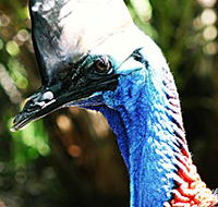 Alma Park Zoo - Restaurant Gold Coast