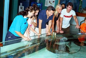 Underwater World - Restaurant Gold Coast 3