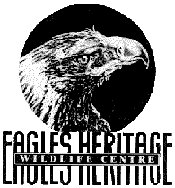 Eagles Heritage - Restaurant Gold Coast