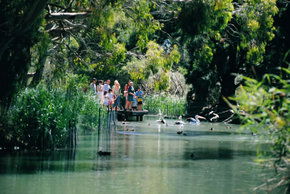 Cleland Wildlife Park - Restaurant Gold Coast 1