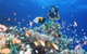 Drop Zone Dive Site - thumb 0