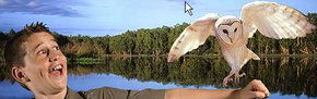 Territory Wildlife Park - Restaurant Gold Coast 2