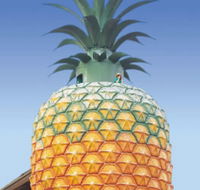 The Big Pineapple - Restaurant Gold Coast