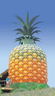 Book Woombye QLD Attractions Restaurant Gold Coast Restaurant Gold Coast