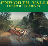 Glenworth Valley Horseriding - Restaurant Gold Coast