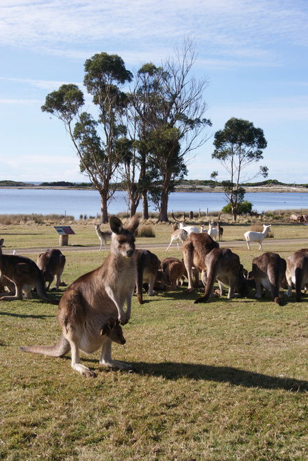 East Coast Natureworld - Restaurant Gold Coast 1