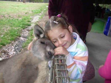 Gumbuya Park - Restaurant Gold Coast 3