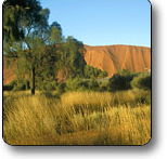 Uluru - Kata Tjuta National Park - Restaurant Gold Coast