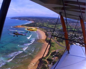 Tiger Moth World Adventure Park - Restaurant Gold Coast 1