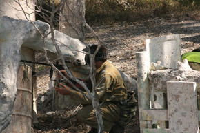 Action Paintball Games - Sydney - Restaurant Gold Coast 3