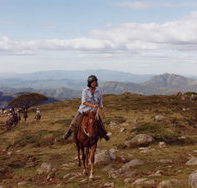 High Country Horses - Restaurant Gold Coast