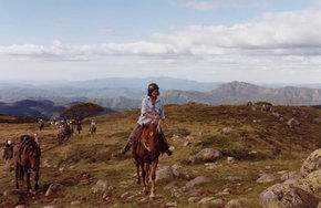 High Country Horses - Restaurant Gold Coast 0