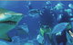 Scuba World - thumb 1