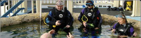Scuba World - Restaurant Gold Coast 2