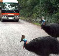 Kookaburra Tours - Restaurant Gold Coast