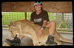 Cairns Wildlife Safari Reserve - Restaurant Gold Coast 1
