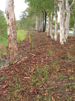 Kumbartcho Sanctuary - Restaurant Gold Coast 1