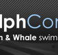 Dolphcom - Dolphin  Whale Swimming Adventures - Restaurant Gold Coast