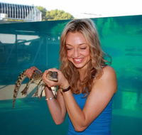 Crocosaurus Cove - Restaurant Gold Coast