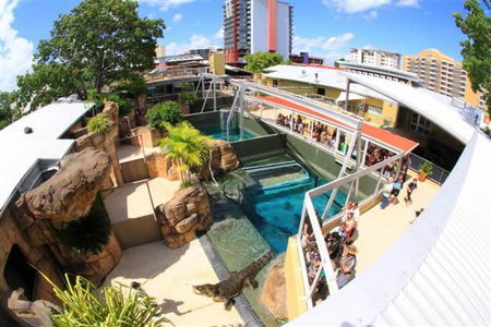Crocosaurus Cove - Restaurant Gold Coast 1