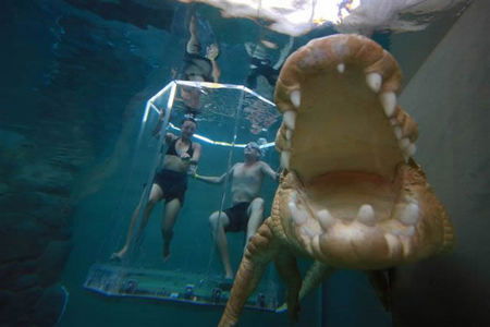 Crocosaurus Cove - Restaurant Gold Coast 3