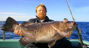 Bravo Fishing Charters - Restaurant Gold Coast 0
