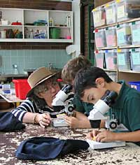 Australian National Botanic Gardens - Restaurant Gold Coast 2