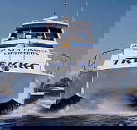 Sunshine Coast Fishing Charters - Restaurant Gold Coast