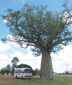 Kununurra Cruises - Restaurant Gold Coast 1