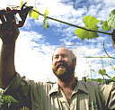 Barossa Experience Tours - Restaurant Gold Coast