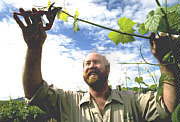 Barossa Experience Tours - Restaurant Gold Coast 0