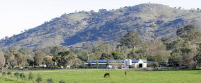 Blue Gum Farm - Restaurant Gold Coast 1