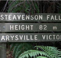 Stevensons Falls - Restaurant Gold Coast