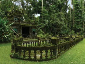 Paronella Park - Restaurant Gold Coast 2