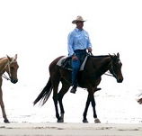 Ride the Beach - Restaurant Gold Coast