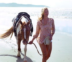 Ride The Beach - Restaurant Gold Coast 3